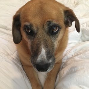 Meet your Posher, Mackenzie